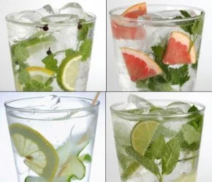 Mezclas Gin Tonic