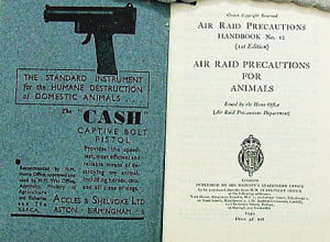 Folleto para destruir mascotas