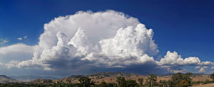 Cumulonimbus capillatus incus.