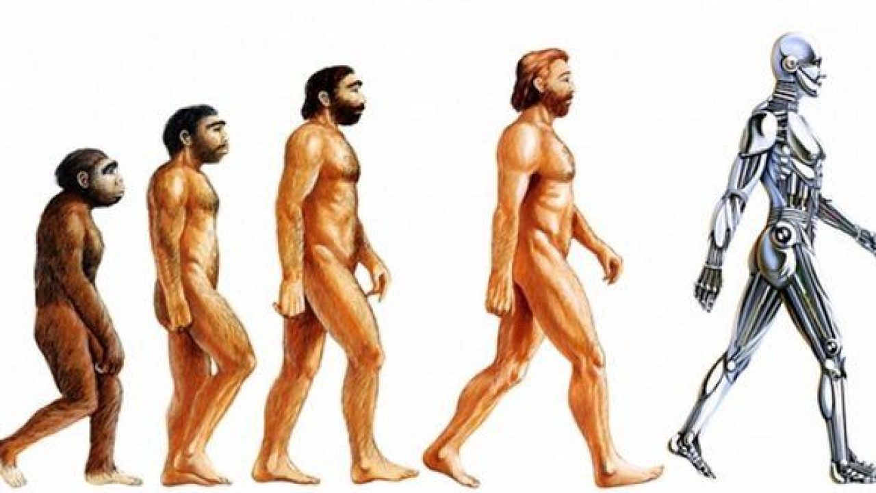 Человеческое общество быстро развивается и меняется. Эволюция человека хомосапиенс. Человек будущего Эволюция. Будущее эволюции человека. Эволюция человечества в будущем.