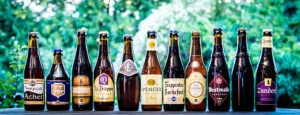 Las 11 Trapistas